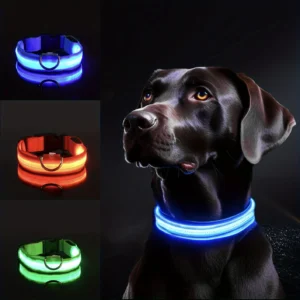 dog collar led